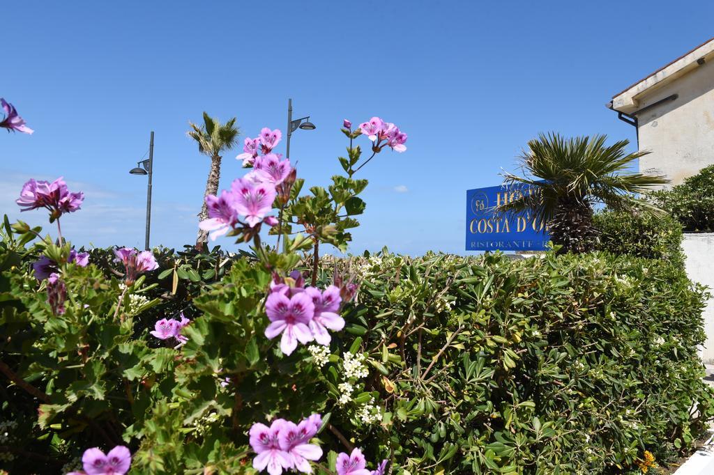 Hotel Costa D'Oro Santa Maria di Castellabate Eksteriør bilde